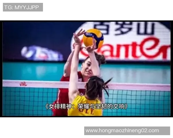 杭州排球队精英赛之路：拼搏与荣耀交织的奋斗故事
